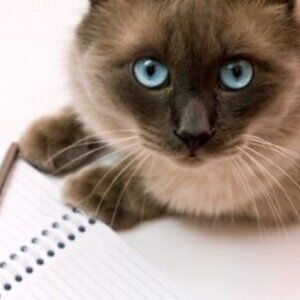 Meet your Posher, Robin